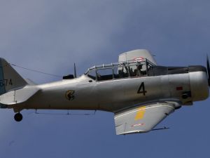 T6