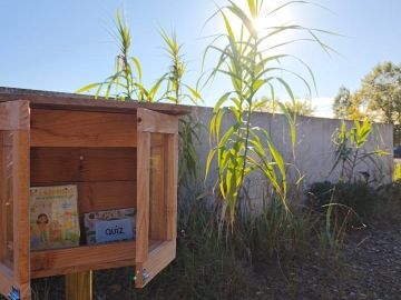 [Les gardiens de la biodiversité : nature, enfance et aviation🌿🛩️]

À deux pas d’un site classé Natura 2000, le Musée de l’Hydraviation bénéficie d’un...