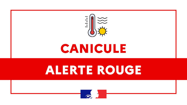 VIGILANCE CANICULE